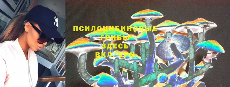 Галлюциногенные грибы MAGIC MUSHROOMS  Дорогобуж 